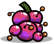 Sherberry.png