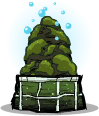 Algae Terrarium.png