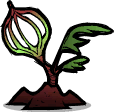 Spindly Grubfruit Plant.png