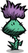 Bristle Blossom.png