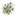 Forested Ore Field.png